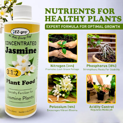 EZ-GRO Professional Liquid Jasmine Fertilizer - 8 oz Bottle | 3:1:2 Concentrated Nutrients for Indoor Plant Food | Houseplant Fertilizer for Jasmine Flowers| Promotes Vibrant Plants & Strong Roots