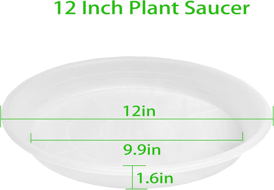 6 Pack of 12 inch Clear Plant Saucer Plant Tray, Plastic Plant Saucer 12 inch, Heavy Duty Clear Plant Tray for Pots, Plant Saucers for Indoors Planter, Garden Water Plate Bowls 10"/11"/12"