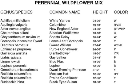 Dirt Goddess Super Seeds ~ All Perennial Wildflower Seed Mix (1/4 Lb) 84,000 Seeds Non GMO Bulk