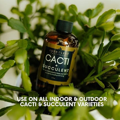 Lush Leaf | Plant Food (Cacti Succulent)