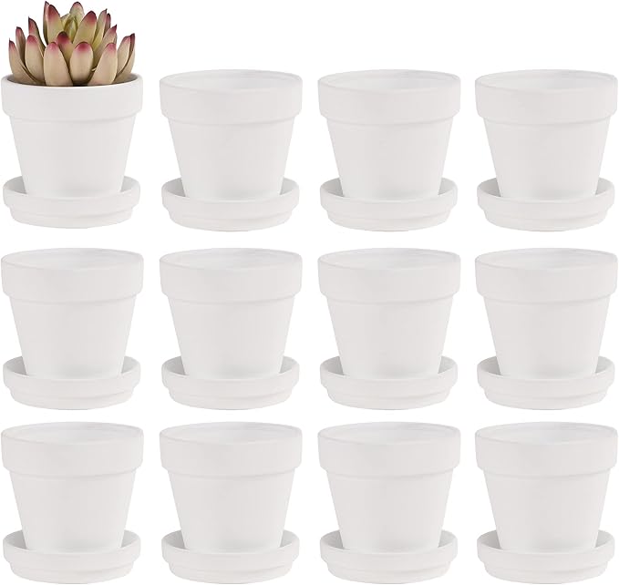 Fcacti 3 Inches Small White Terracotta Pots with Saucer, 12 Pack 3 Terra Cotta Planter with Drainage Holes, Small Clay Flower Pots for Plants, Succulents, Crafts, Wedding Favor
