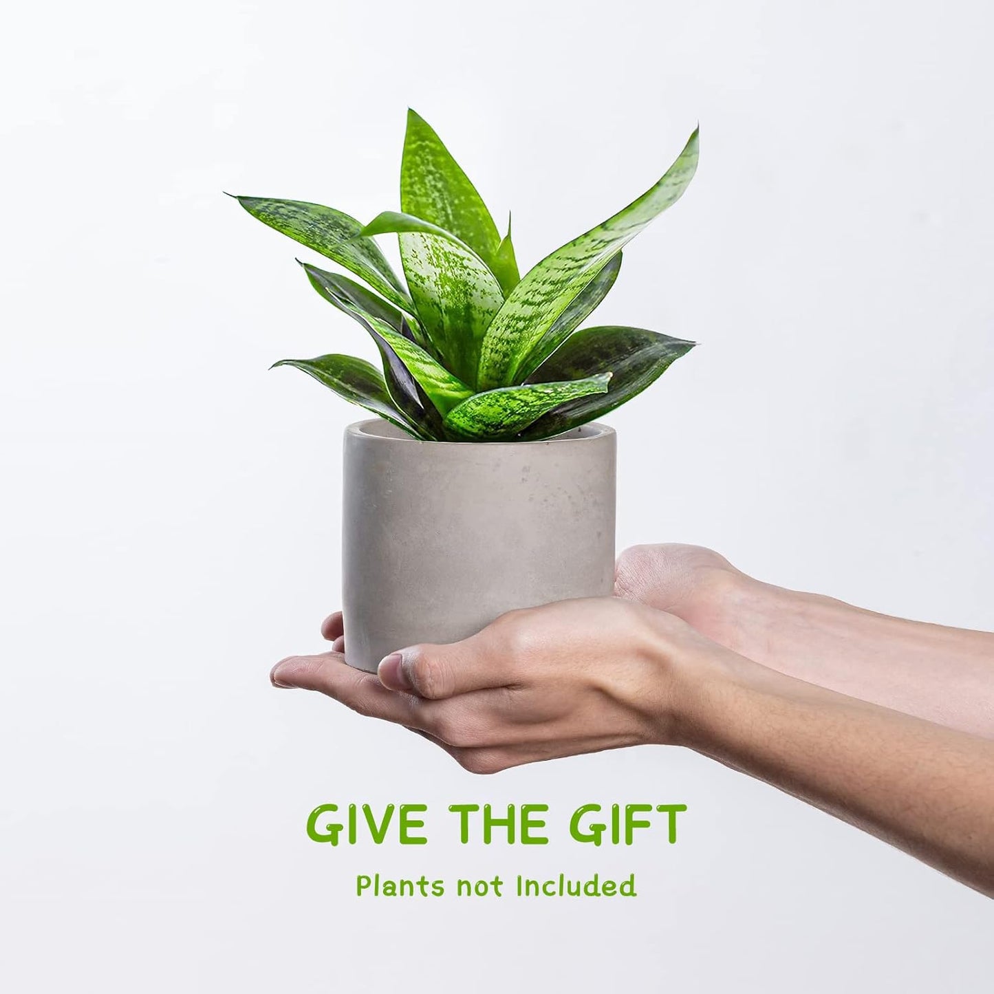 Ekirlin 3.5 in Plant Pot Indoor - Grey Cement Planters with Drain Hole, Removable Rubber Stopper, Non-Slip Soft Pad - Concrete Planter for Most Indoor Plants and Flowers