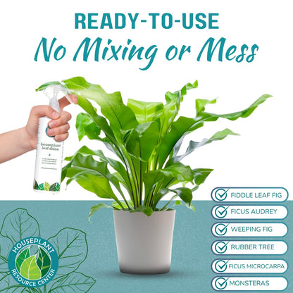 Houseplant Leaf Shine Spray – All-Natural Leaf Cleaner and Gloss for Healthy Shine & Better Photosynthesis | Perfect for House Plants and Foliage | 8 oz