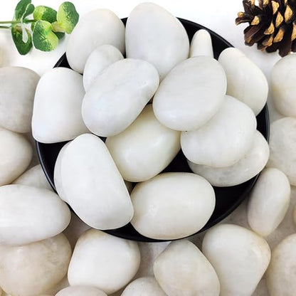 10lbs White River Rocks, 2-3 Inch Natural Pebbles for Indoor Plants, High Polished Decorative Stones Vase Filler Fish Tank Aquariums Landscaping Garden Outdoor and Indoor DIY
