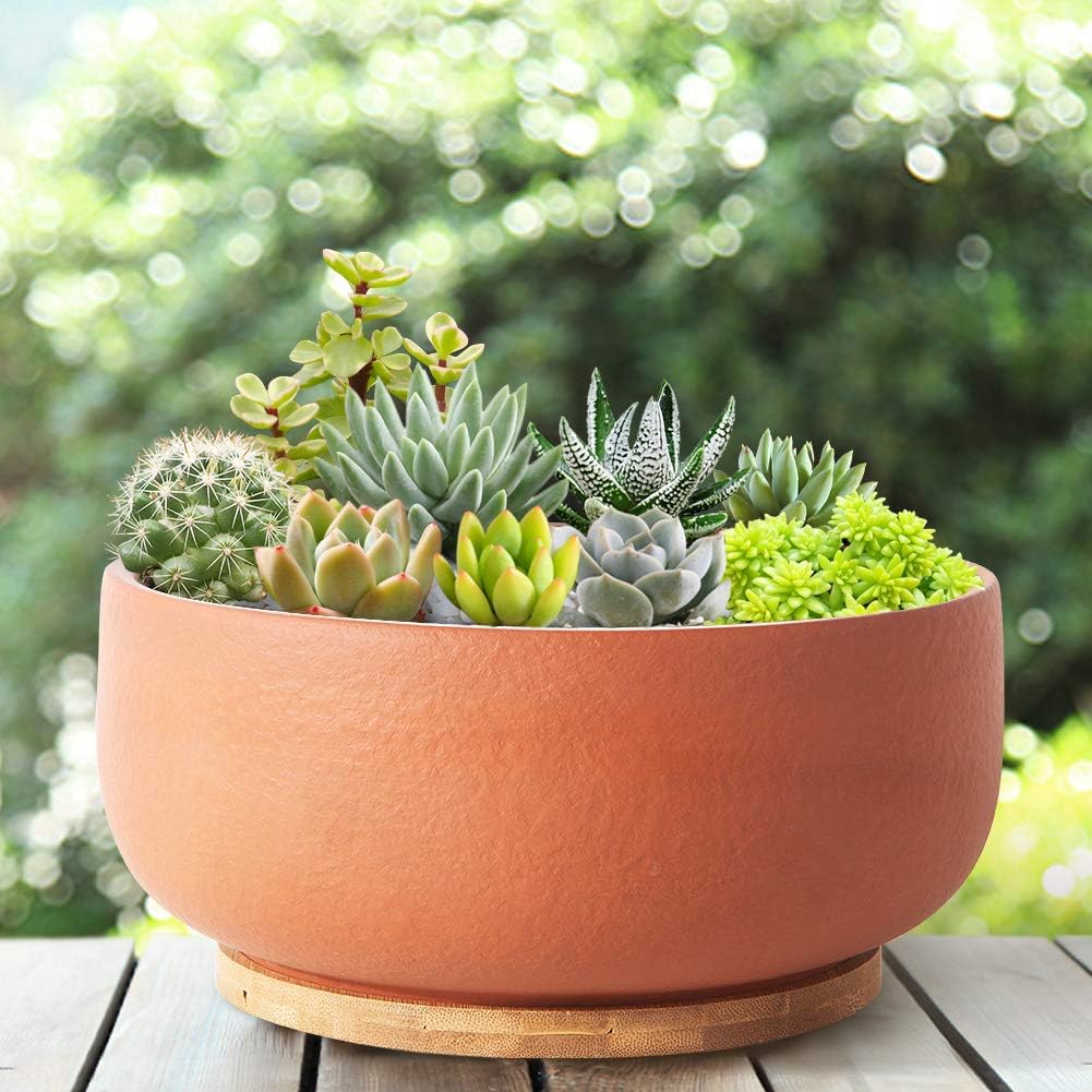 SQOWL Terracotta Planter Pot for Succulent 8 Inch Pottery Round Planter Cactus Clay Flower Pot with Drain Hole and Bamboo Tray Indoor Outdoor