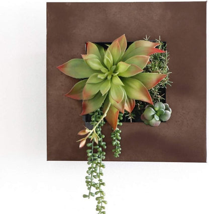 Modern Home Living Wall Galvanized Steel/Zinc Succulent Planter (Rust Zinc, 4 Pocket)