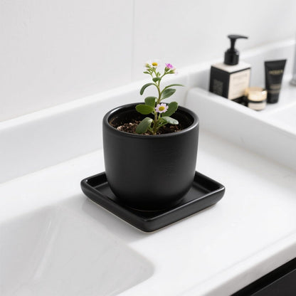 Square Plant Saucer 4 Inch 2 Pack，Plant Trays for Pots, Black Ceramic Plant Saucers for Indoors Outdoors, Plant Drip Tray 4 6 8 10 12 14 Inch