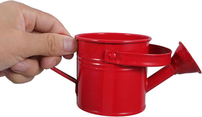 2pcs Kids Metal Watering Can for Indoor Plants, Durable Iron Sprinkling Kettle, Portable Small Water Can for Garden Home Plants, Red and Light Blue, 6.69 x 2.75 x 2.75 Inch