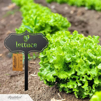 RealSteel - Seed & Plant Markers - Indoor/Outdoor Herb Garden Stakes - Elegant Fruit/Vegetable Seed Labels - Durable Plant Tags for Pots - Classy Design for Farmhouse/Greenhouse (Eggplant)