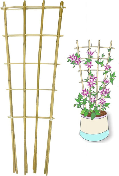Natural Bamboo Trellis, 3Feet,3Pack,Fan-Shaped Plant Support Trellis for Outdoor and Indoor Potted Climbing Plants,Vegetables, Cucumber, Tomato, Hoya, Wisteria,Ivy,Orchid, Jasmine Monstera, Vine,