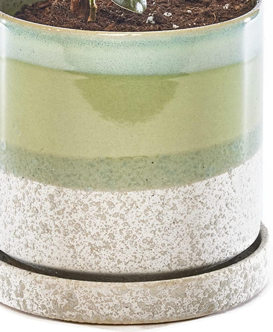 CHIVE ‘Minute’ Ceramic Planter Pot — Cute 5” Colorful Succulent Pots for Indoor & Outdoor House Plants — Beautiful Modern Farmhouse Kitchen Decor — Green Cement