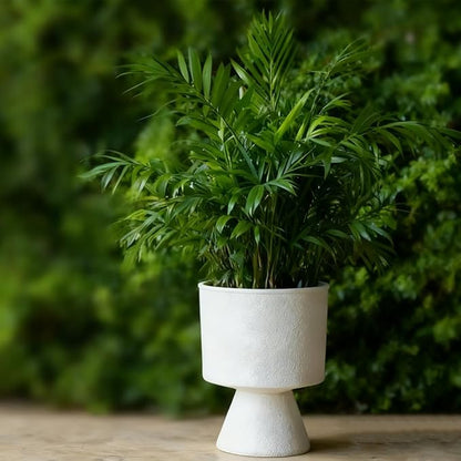 Lookat Modern Hourglass Planter, Indoor Decorative Plastic Plant Container, Textured Metal Look, Contemporary Home Garden Pot (Black, CUP003 Small+Medium)