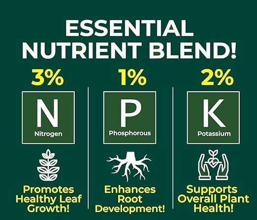 Gardenera Proffesional Jade Plant Spray Fertilizer Mist for Home Gardening | 3-1-2 Gentle Blend Mist for Healthy Leaves & Growth | Essential Nutrients for Jade Plants - 8oz