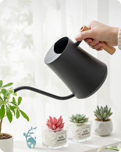 Baffect Indoor Watering Can, 1L/34OZ Metal Houseplant Watering Can with Wooden Handle, Curved Design Watering Can with Long Spout for Small Potted Plants (Black)