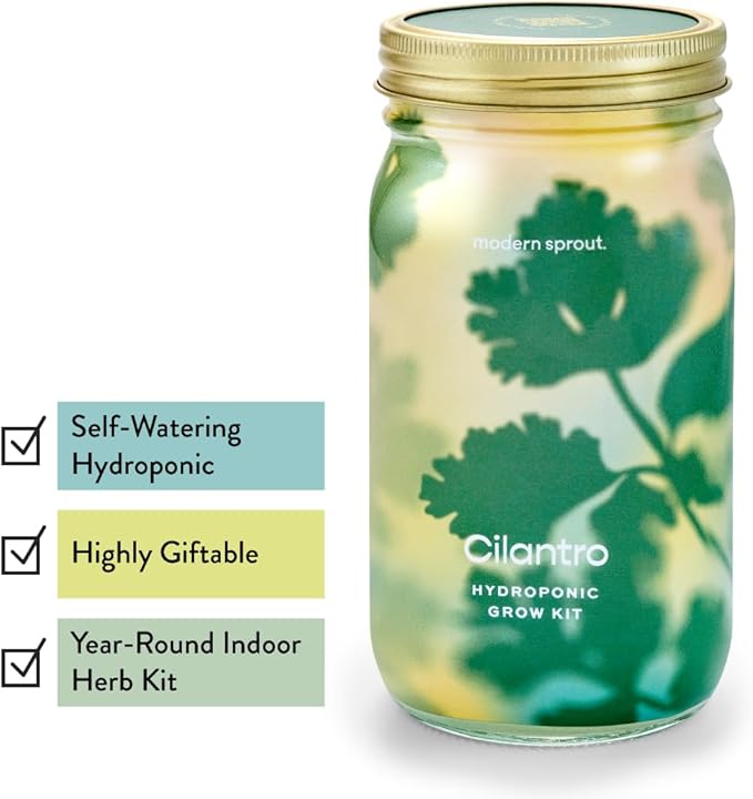 Modern Sprout Mason Garden Jar - Self-Watering Hydroponics Growing System Kit with Organic Herb Seeds - Jar Planter for Indoor Herb Garden - Seed Starter Kit - Home Decor & Gifting - Cilantro