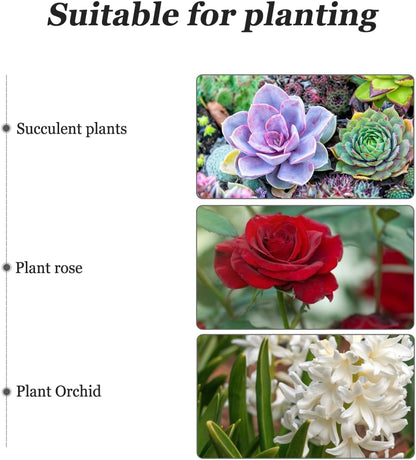 Wooden Barrel Flower Pot - Rustic Planter for Indoor & Outdoor Use with Drainage Holes - 7 Inch Brown Planter for Decorative Plants & Vegetables