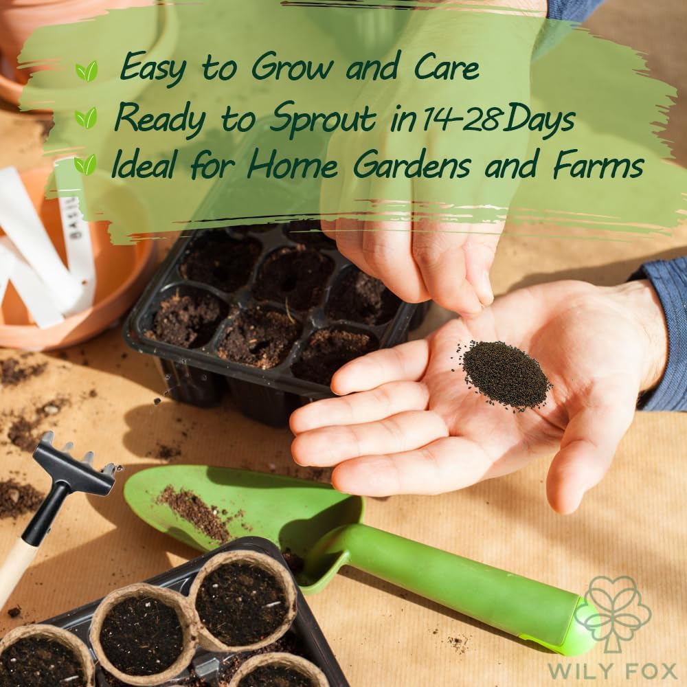 Premium Prunella Vulgaris Seeds - 700+ Non-GMO Self Heal Herb Seeds for Planting - Heirloom Medicinal Herb, Attracts Pollinators - Easy to Grow for Garden, Indoors or Outdoors (Prunella vulgaris)