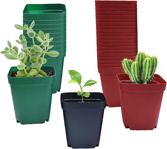 Square Plastic Nursery Pot 3" 120 Pcs Deep Succulent Pots Small Flower Planter Seeds Starter Pots with Drainage (Green,Black,Red 40pcs Each,2.7Inches)