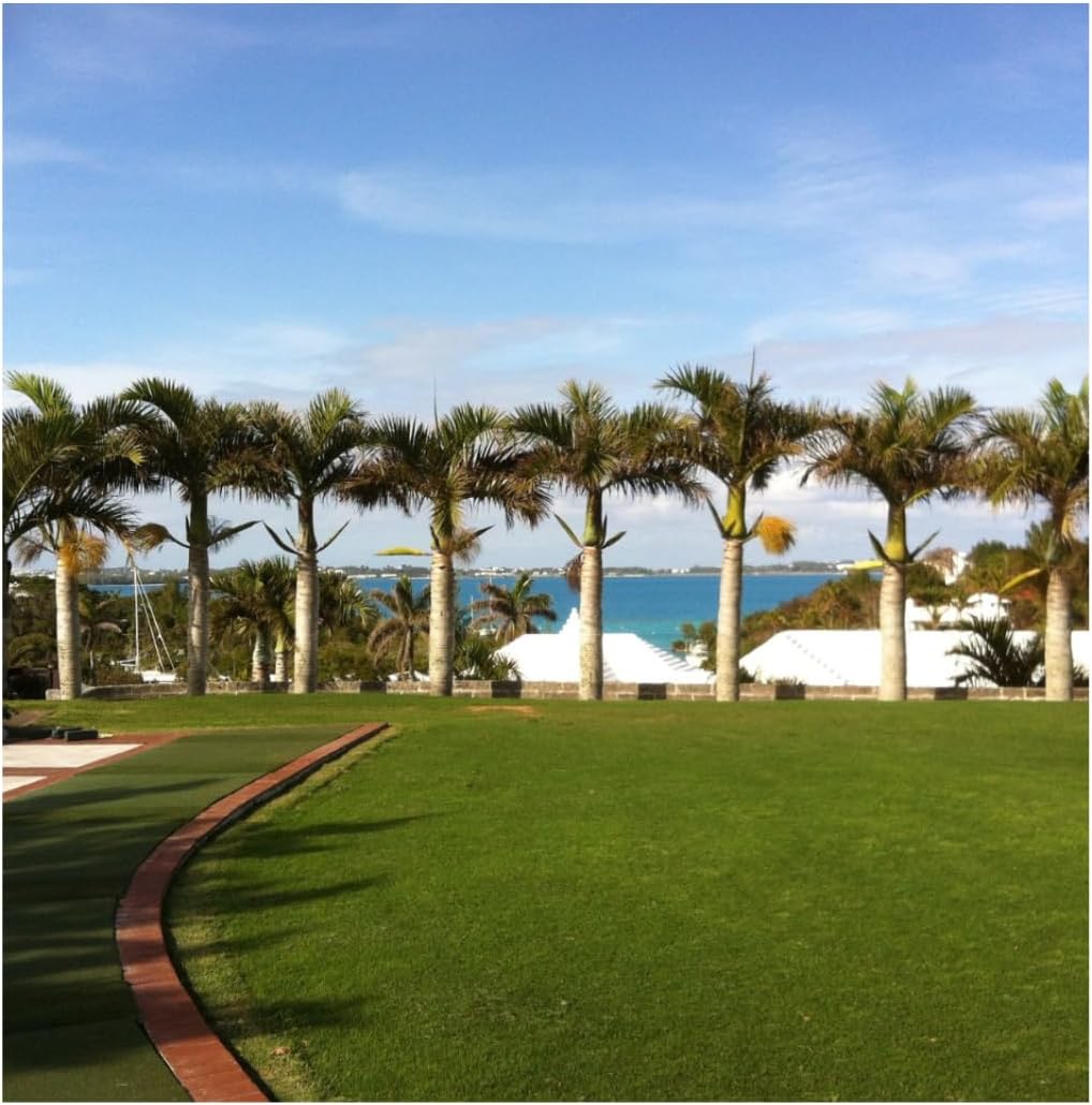 Brownie Brand Majestic Hulled Bermudagrass Seed | Premium Turf Grass for Dense, Drought-Resistant Lawns | Fast-Growing, Heat-Tolerant, Certified Seed for High-Traffic Areas. (25 Pound)