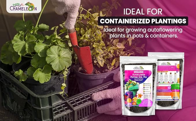 Organic Autoflower Potting Soil Mix – Ready-to-Use Living Soil, No Fertilizers Needed – Balanced Nutrients, Light Texture, Excellent Drainage, Boosts Germination & Root Growth (2 QUARTS)