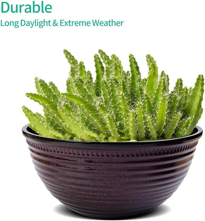 2 Pack 10 Inch Plant Pots,Durable Decorative Flower Pots Planters with Drainage Hole for Indoor and Outdoor Plants,Flowers,Succulents, Purple