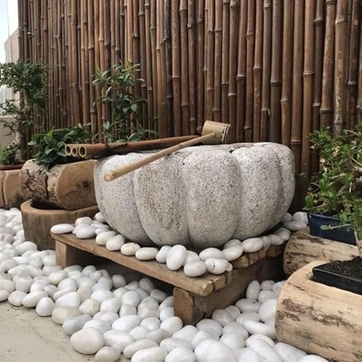 20lbs White River Rocks for Landscaping, 2-3 Inch Natural Pebbles for Indoor Plants, High Polished Decorative Stones Vase Filler Fish Tank Aquariums Garden Outdoor and Indoor DIY