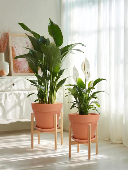 INGOFIN Terracotta Pot Set of 2 with Saucer - 10 Inch Ceramic Clay Pot for Plants with Drainage Hole, Large Terra Cotta Flower Planter with Tray for Indoor Outdoor Plants