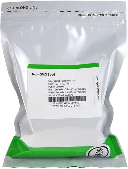 Blue Lake Bush Bean 274 Seeds - 1 Lbs - Non-GMO, Heirloom, Open Pollinated - Vegetable Garden Seeds - Green String Beans