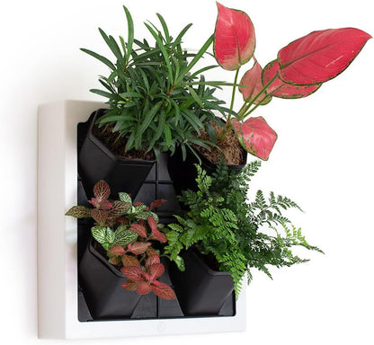 Self Watering Wall Planter with 4 Pots - Easy to Create Indoor Living Wall for Home, Office and Shop Front - Includes Water Gauge (White)