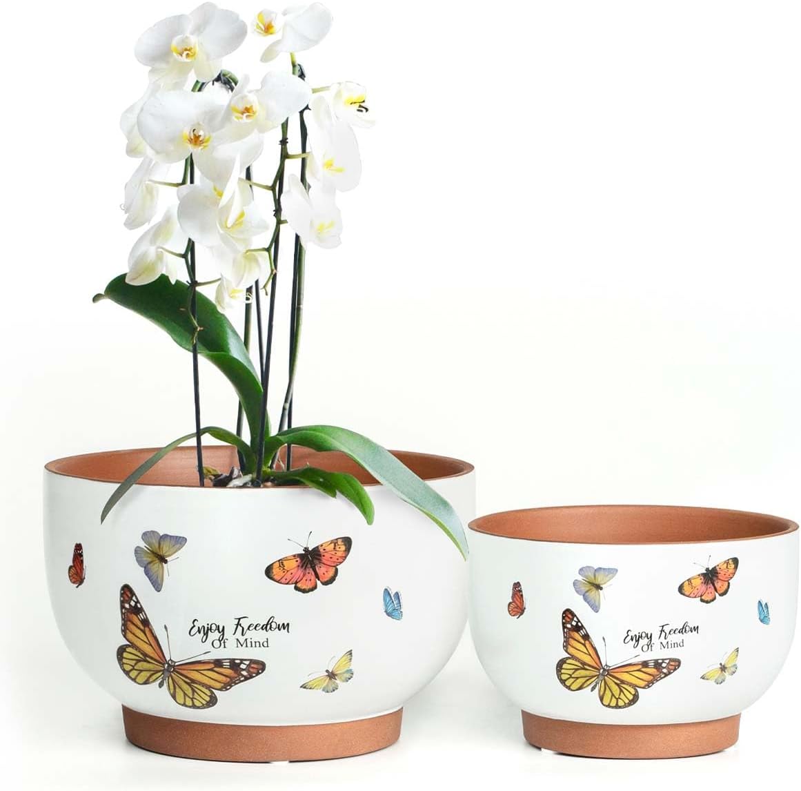 YBX 8 Inch + 6 Inch White&Terracotta Flower Pots, Succulent Ceramic Plant Pots with Drainage Holes, Terracotta Planters for Indoor Plants, with Butterfly Accents