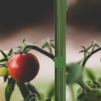 AC Infinity Twist Ties with Built-in Cutter, 100m (328 ft.) All-Purpose Reusable Green Wire Plant Ties, for Gardening, Plant Support, and Home Office Organization