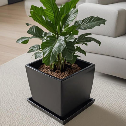 Square Plant Saucer 14 Inch 1 Pack，Plant Trays for Pots, Black Ceramic Plant Saucers for Indoors Outdoors, Plant Drip Tray 4 6 8 10 12 14 Inch