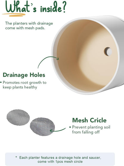 LE TAUCI Ceramic Pots for Plants, Set of 2, 10 + 12 Inch Plant Pot, Durable & Stylish Planters for Indoor Plants with Drainage Hole and Saucer, Elevate Your Home’s Aesthetic, White