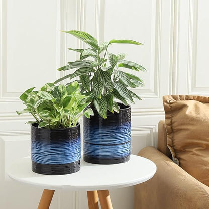 Nihow Ceramic Plant Pot: 6 Inch Planter with Drainage Hole & Saucer for Indoor & Outdoor Plants - Cylinder Round Flower Pot for Succulent/Herbs/Violets - Black & Vivid Blue