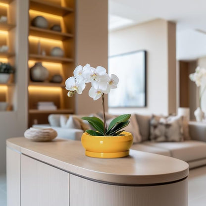 Succulent Pots with Drainage Hole - 6 Inch Ceramic Bonsai Pots for Indoor Outdoor, Shallow Plant Pot with Saucer, Bonsai Planter, Round Succulent Planter, Patio Decor, Gardening Gift, Yellow