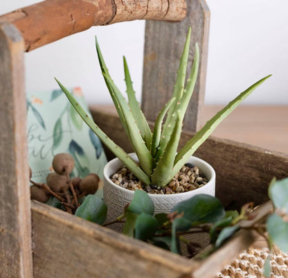 Artificial plant in white ceramic pot | 10" high sage green faux agave plant in white pot | fake plant for desk decor | Artificial agave for home decor indoor | Artificial succulent for shelf decor