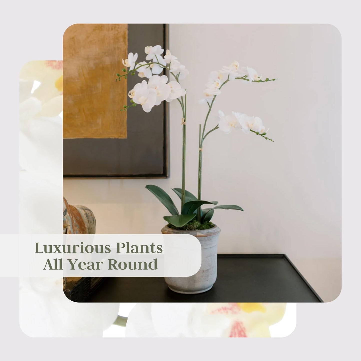Faux White Orchid Plant, Premium Artificial Indoor Flower Display Stands 24”, Beautiful Sculptural Blooms That Lasts Forever, Grey Planter Pot Included
