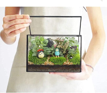 Rectangle Small Plants Terrarium with Lid, Black Geometric Clear Planter Pot, Little Glass Container Box for Tabletop Decor,6.7 x 3.9 x 4.7 inches