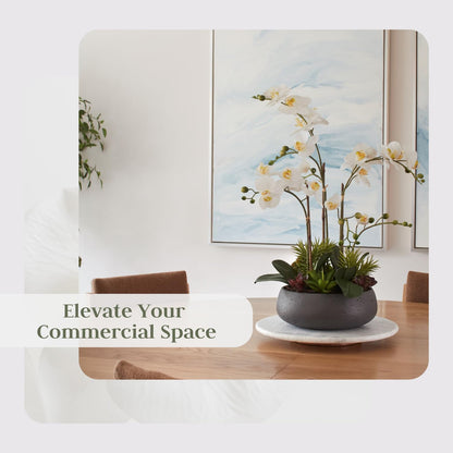 Faux Orchid Plant w/Succulents, Premium Artificial Indoor Flower Display Stands 24” w/Beautiful Sculptural Blooms and Succulents That Lasts Forever, Grey Planter Pot Included
