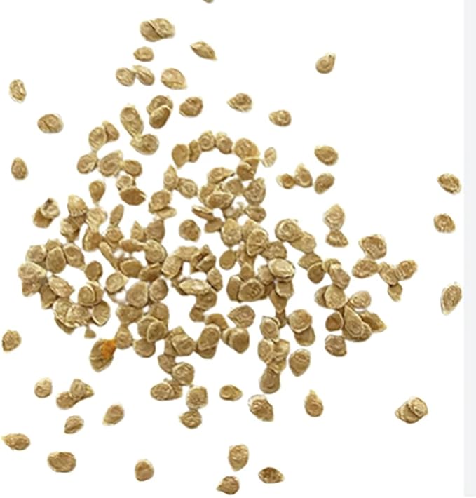 Pink Ponderosa Heirloom Tomato Seeds - Large Tomato - One of The Most Delicious Tomatoes for Home Growing, Non GMO - Neonicotinoid-Free.