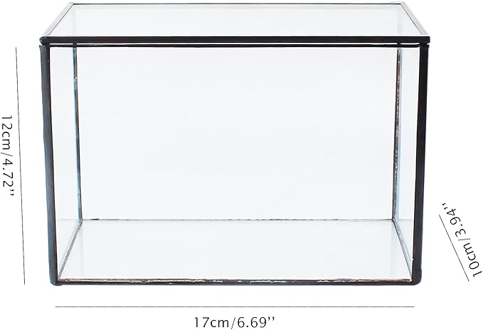 Rectangle Small Plants Terrarium with Lid, Black Geometric Clear Planter Pot, Little Glass Container Box for Tabletop Decor,6.7 x 3.9 x 4.7 inches