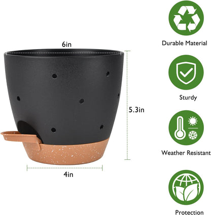 6 Inch Orchid Pots with Holes, 2 Pack Self Watering Planters for Orchids Plastic Orchid Pot Plant Flower Pots for Orchids Indoor Outdoor (Black with Brown)