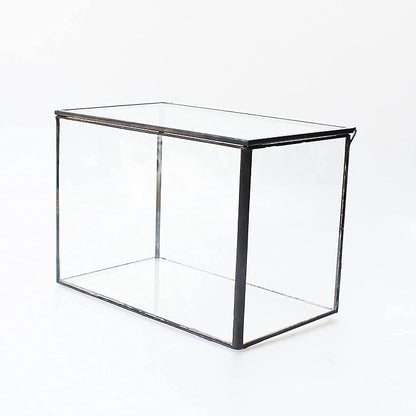 Rectangle Small Plants Terrarium with Lid, Black Geometric Clear Planter Pot, Little Glass Container Box for Tabletop Decor,6.7 x 3.9 x 4.7 inches