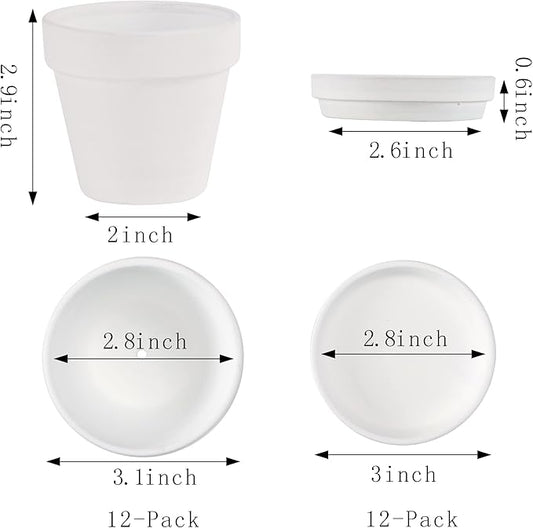 Fcacti 3 Inches Small White Terracotta Pots with Saucer, 12 Pack 3 Terra Cotta Planter with Drainage Holes, Small Clay Flower Pots for Plants, Succulents, Crafts, Wedding Favor