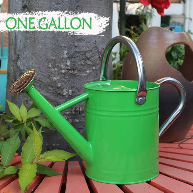 Metal Watering Can, One Gallon Watering Cans Stainless Steel for Outdoor Indoor Garden Plants Watering (Stainless Steel Handle Green)