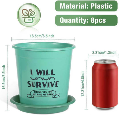 NIKONIKO 8 Pack 6.5 Inch Plant Pots, 4 Colors Pots for Plants, Flower Pots with Drainage Holes and Bottom Support, for Indoor & Outdoor Garden Home Plants