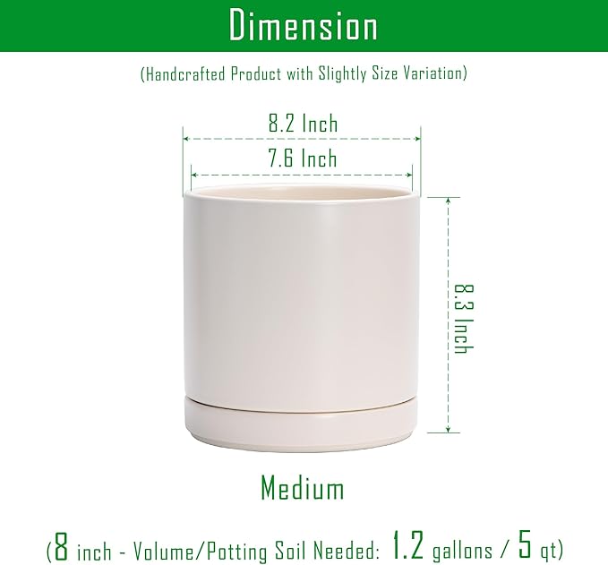 D'vine Dev 8.2 Inch Ceramic Planter Pot with Drainage Hole and Saucer, Indoor Cylinder Round Planter Pot, Oatmeal, 94-O-D-8