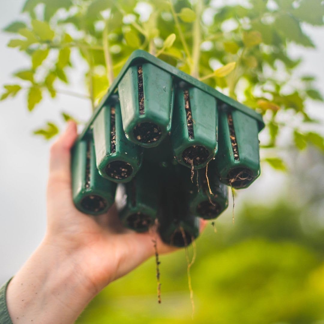 Vego garden Seedling Suite Products, 4 Pack Jumbo Seedling Trays and 4 Pack Standard Seedling Trays with Seedling Tray Lids and 10" x 20" Bottom Watering Trays