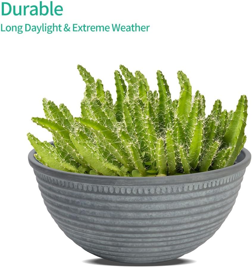 2 Pack 10 Inch Plant Pots,Durable Decorative Flower Pots Planters with Drainage Hole for Indoor and Outdoor Plants,Flowers,Succulents, Gray