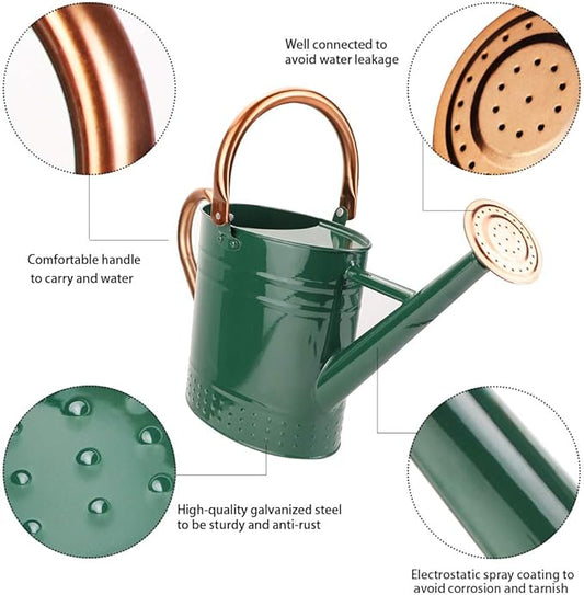 1 Gallon Metal Watering Can with Removable Spout, Nice Galvanized Steel Water Can with Embossed Design for Indoor and Outdoor Plants